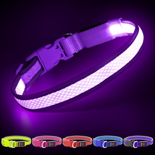 YFbrite Beleuchtetes LED-Hundehalsband, wiederaufladbar über USB, verstellbare Größe, leuchtendes Hundehalsband, blinkend für Sicherheit des Hundes (lila, Meidum) von YFbrite