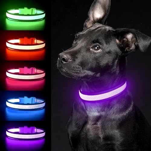 YFbrite Beleuchtetes LED-Hundehalsband, wiederaufladbar über USB, verstellbare Größe, leuchtendes Hundehalsband, blinkend für Sicherheit des Hundes (lila, groß) von YFbrite