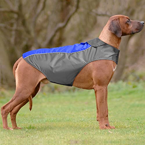 YFbrite Hundegeschirr, leicht, verstellbar, reflektierend, warm, für kleine, mittelgroße und große Hunde (Blau, XX-Large) von YFbrite