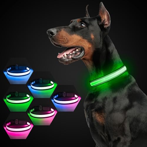 YFbrite LED-Hundehalsband, 7 Blinkmodi, wiederaufladbar, mehrfarbig, verstellbare Größe, leuchtendes Hundehalsband, blinkend für Sicherheit des Hundes (M, mehrfarbig) von YFbrite