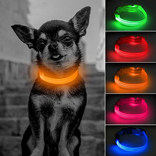 YFbrite LED Katzenhalsband, leuchtende Hundehalsbänder für kleine Hunde, USB aufladbares Welpenhundehalsband, verstellbares reflektierendes Sicherheitshalsband blinkend für Katzen und kleine Hunde Nachtspaziergang (Rot) von YFbrite