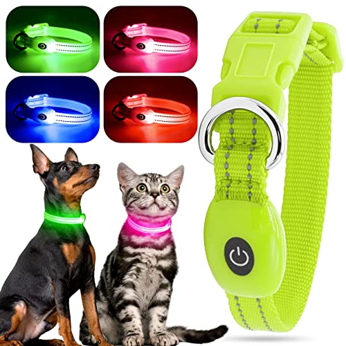 YFbrite Leuchtende Hundehalsbänder, USB-aufladbares LED-Hundehalsband, verstellbares LED-Katzenhalsband, langlebiges Blinkhalsband für Katzen, Welpen, kleine, mittelgroße und große Hunde (Grün, XS) von YFbrite