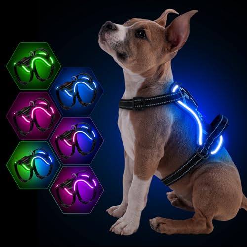 YFbrite Leuchtendes Hundegeschirr, wiederaufladbares USB-LED-Hundegeschirr, reflektierendes Hundegeschirr, Hundelichter für Geschirr, bequem, verstellbar, Hundehandpresse (Blau, Größe M) von YFbrite