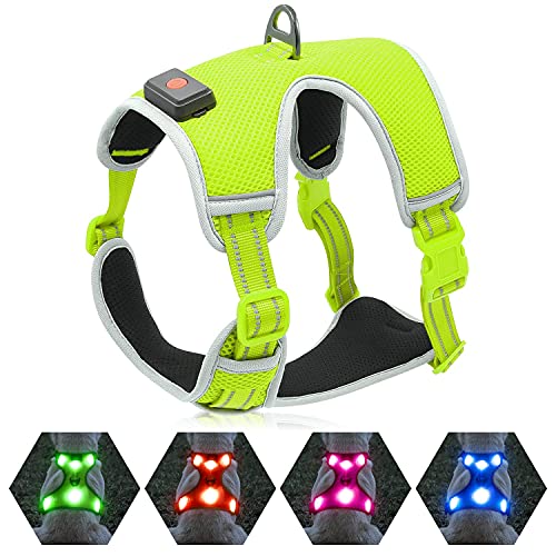 YFbrite Leuchtendes Hundegeschirr, wiederaufladbares USB-LED-Hundegeschirr, reflektierendes Hundegeschirr, Hundelichter für Geschirr, bequem, verstellbar, atmungsaktiv, Hundehandpresse (grün, mittel) von YFbrite