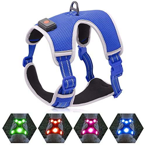 YFbrite Leuchtendes Hundegeschirr, wiederaufladbares USB-LED-Hundegeschirr, reflektierendes Hundegeschirr, Hundelichter für Geschirr, bequem, verstellbar, Hundehandpresse (Blau, Größe M) von YFbrite