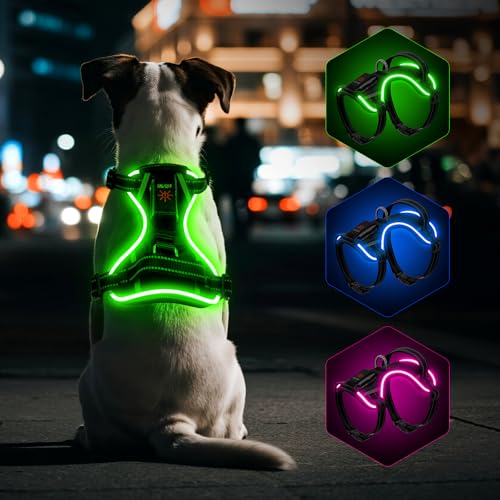 YFbrite Leuchtendes Hundegeschirr - Wiederaufladbares USB-LED-Hundegeschirr, Reflektierend, Atmungsaktiv, Verstellbar - Hundelichter für Geschirr (Grün, Mittel) von YFbrite