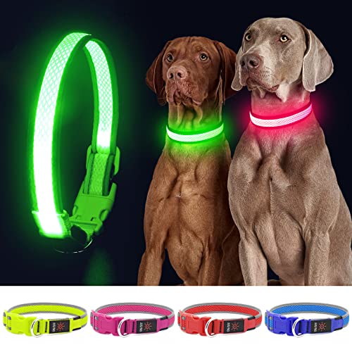YFbrite Leuchtendes Hundehalsband, wiederaufladbares LED-Hundehalsband, blinkendes Hundehalsband, verstellbares reflektierendes Hundehalsband, Sicherheit, leuchtet bei Nacht (Grün, M) von YFbrite