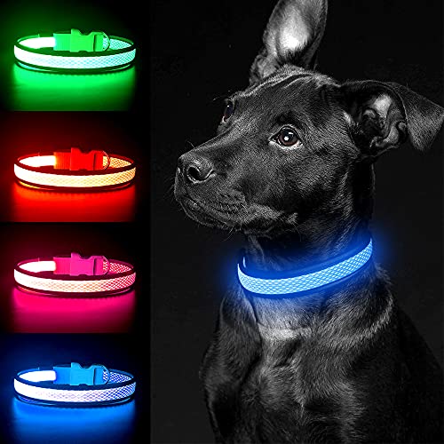 YFbrite Leuchtendes Hundehalsband, wiederaufladbares LED-Hundehalsband, blinkendes Hundehalsband, verstellbares reflektierendes Hundehalsband, Sicherheit leuchtet bei Nacht (Blau, L) von YFbrite