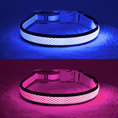 YFbrite Leuchtendes Hundehalsband, wiederaufladbares LED-Hundehalsband, blinkendes Hundehalsband, verstellbares reflektierendes Hundehalsband, Sicherheit leuchtet bei Nacht (Blau, S) von YFbrite