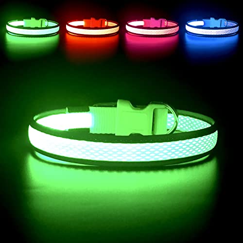 YFbrite Leuchtendes Hundehalsband, wiederaufladbares LED-Hundehalsband, blinkendes Hundehalsband, verstellbares reflektierendes Hundehalsband, Sicherheit leuchtet bei Nacht (Grün, S) von YFbrite