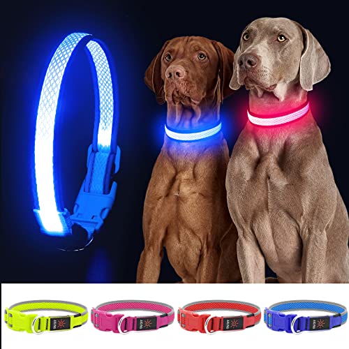 Light Up Hundehalsband, USB Wiederaufladbares LED Hundehalsband, Verstellbares Blinkendes Hundehalsband, Reflektierendes Hundehalsband Sicherheit Leuchtet für Kleine, große Hunde (Blau, M) von YFbrite