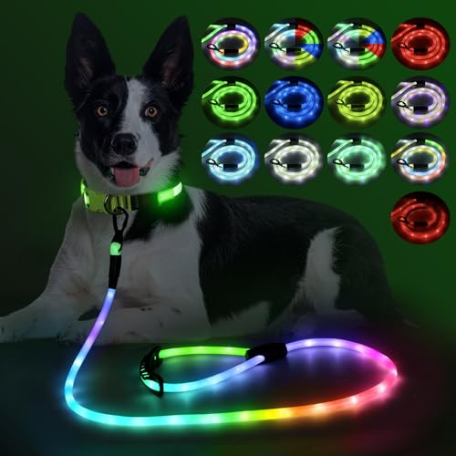 YFbrite wasserdichte Hundeleine mit Beleuchtung und 15 Blinkmodi – Superhelle LED-Hundeleine für kleine, mittelgroße und große Hunde – Wiederaufladbare Hundeleinen Typ C mit Licht (M（150cm）) von YFbrite