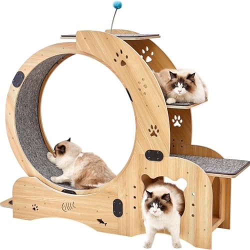 YGDYFDC Cat Wheel Klettergerüst for Katzen, Spielzeug, Laufband for Katzen, Trainingsrolle for Katzen, Leiter for Katzen aus Holz, Katzenpfotenplatte, Katzennapfständer Katzenlaufrad YGDYFDC Cat Wheel Klettergerüst for Katzen, Spielzeug, Laufband for Katzen, Trainingsrolle for Katzen, Leiter for Katzen aus Holz, Katzenpfotenplatte, Katzennapfständer Katzenlaufrad von YGDYFDC
