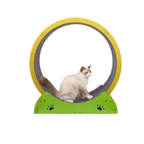 YGDYFDC Cat Wheel Laufband for Katzen, Klettergerüst for Katzen, spezieller Platz for große Katzen, Fitness-Katzen-Sportgestell aus Holz, Haustierbedarf Katzenlaufrad YGDYFDC Cat Wheel Laufband for Katzen, Klettergerüst for Katzen, spezieller Platz for große Katzen, Fitness-Katzen-Sportgestell aus Holz, Haustierbedarf Katzenlaufrad von YGDYFDC