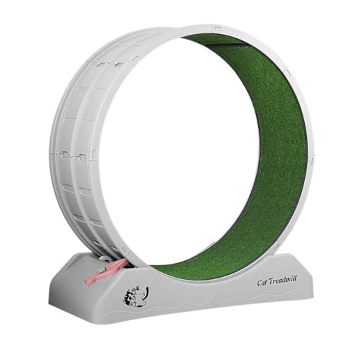 YGDYFDC Cat Wheel Laufband for Katzen, Übung, Fitness, Laufrad for Katzen, geräuscharme Rolle, Klettergerüst for Katzen, Haustier, Langeweile, Katzenspielzeug Katzenlaufrad YGDYFDC Cat Wheel Laufband for Katzen, Übung, Fitness, Laufrad for Katzen, geräuscharme Rolle, Klettergerüst for Katzen, Haustier, Langeweile, Katzenspielzeug Katzenlaufrad von YGDYFDC
