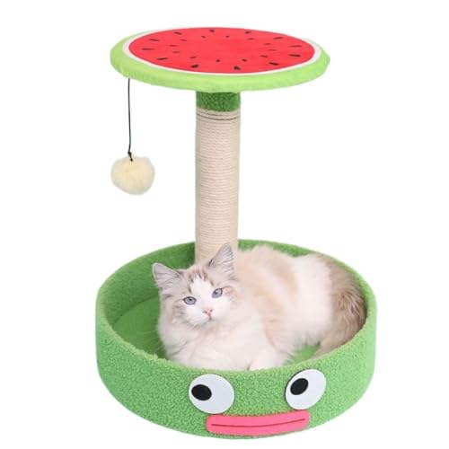 YGDYFDC Katzen Klettern Kleine Katze Klettergerüst Nest Sisal Seil Katze Kratzbaum Klaue Schleifen Katze Spielzeug Massivholz Katze Plattform Leicht zu reinigen YGDYFDC Katzen Klettern Kleine Katze Klettergerüst Nest Sisal Seil Katze Kratzbaum Klaue Schleifen Katze Spielzeug Massivholz Katze Plattform Leicht zu reinigen von YGDYFDC