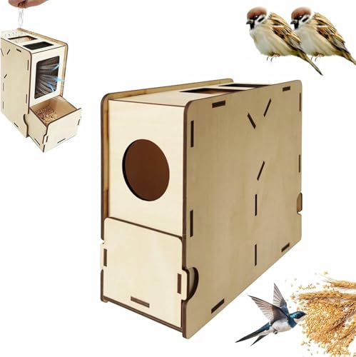 Cáscara Divisor Geblasenes Essen Für Holzkala von YGHBFRSZ
