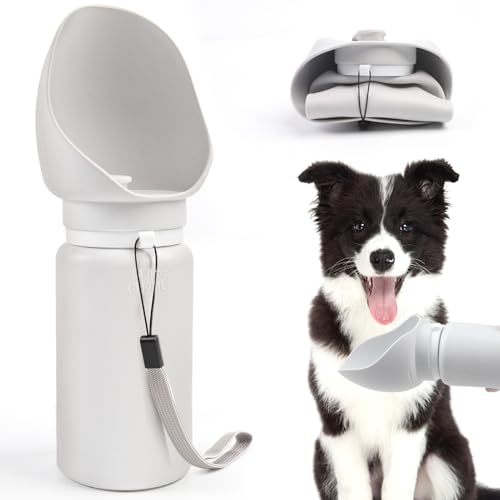 Hund Wasserflasche zum Spazierengehen, Outdoor Tragbare Hunde Wassernapf Feeder Faltbarer Welpe Wasserspender, Auslaufsichere Silikon Hund Reise Wasserflaschen 550ml für Wandern, Hundezubehör von YGJT