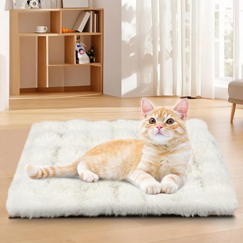 YGJT Katzenbettauflage, selbstheizend, Katzenbetten für den Innenbereich, flauschige Katzendecke, Welpenbettmatte, 45 x 60 cm, selbstwärmende Haustierdecke ohne Strom, waschbar (Weiß) von YGJT
