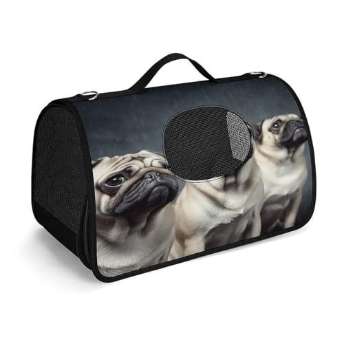 Haustier-Handtasche, lustige Mops-Hunde-Tragetasche, kleine Haustier-Tragetasche, Haustier-Tragetasche, Reise-Handtasche für Katzen und kleine Hunde Haustier-Handtasche, lustige Mops-Hunde-Tragetasche, kleine Haustier-Tragetasche, Haustier-Tragetasche, Reise-Handtasche für Katzen und kleine Hunde von YHEGBFD