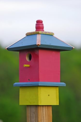 YHKHAR Vogelhaus, bemalte Vogelhäuser YHKHAR Vogelhaus, bemalte Vogelhäuser von YHKHAR