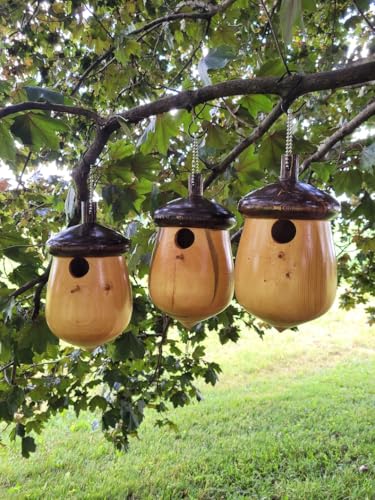 YHKHAR Vogelhaus, einzigartiges Vogelhaus, großes Vogelhaus, Vogeldekoration, Vogelfutterstation, Outdoor, Gartenkunst YHKHAR Vogelhaus, einzigartiges Vogelhaus, großes Vogelhaus, Vogeldekoration, Vogelfutterstation, Outdoor, Gartenkunst von YHKHAR