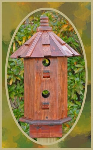 YHKHAR Vogelhaus YHKHAR Vogelhaus von YHKHAR
