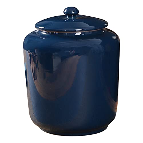 YHNNH Gedenkurne für Haustiere, Große Urne for menschliche Asche for Erwachsene, Andenkenurne aus Keramik – Ausstellung zu Hause(Blue,4100ml) von YHNNH