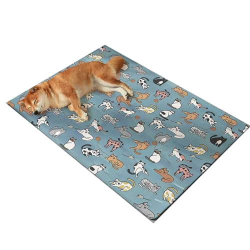 YHOPJKFRA Kühlmatte für Hunde – Weicher, Dicker Schaumstoff, stützendes Gel, selbstkühlendes Pad für Hunde und Katzen im Sommer. Langlebig, Kratzfest | Blaue Katze YHOPJKFRA Kühlmatte für Hunde – Weicher, Dicker Schaumstoff, stützendes Gel, selbstkühlendes Pad für Hunde und Katzen im Sommer. Langlebig, Kratzfest | Blaue Katze von YHOPJKFRA