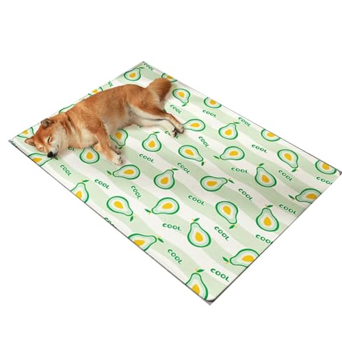 YHOPJKFRA Kühlmatte für Hunde – Weicher, Dicker Schaumstoff, stützendes Gel, selbstkühlendes Pad für Hunde und Katzen im Sommer. Langlebig, Kratzfest | Melone YHOPJKFRA Kühlmatte für Hunde – Weicher, Dicker Schaumstoff, stützendes Gel, selbstkühlendes Pad für Hunde und Katzen im Sommer. Langlebig, Kratzfest | Melone von YHOPJKFRA