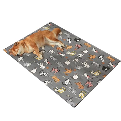 YHOPJKFRA Kühlmatte für Hunde – Weicher, Dicker Schaumstoff, stützendes Gel, selbstkühlendes Pad für Hunde und Katzen im Sommer. Langlebig, Kratzfest | graue Katze YHOPJKFRA Kühlmatte für Hunde – Weicher, Dicker Schaumstoff, stützendes Gel, selbstkühlendes Pad für Hunde und Katzen im Sommer. Langlebig, Kratzfest | graue Katze von YHOPJKFRA