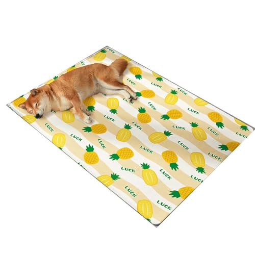 YHOPJKFRA Kühlmatte für Hunde – Weicher, Dicker Schaumstoff mit stützendem Gel, selbstkühlendes Pad für Hunde und Katzen im Sommer. Langlebig, Kratzfest | Ananas von YHOPJKFRA