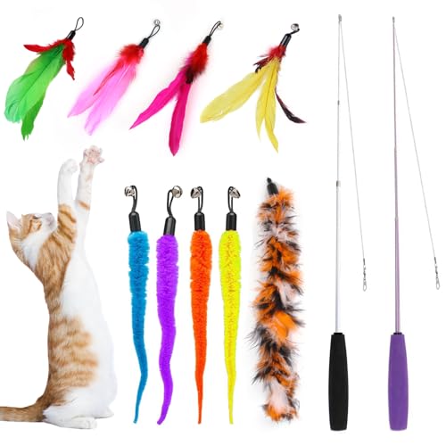 Interaktives Katzenspielzeug Spielzeug mit Federn, Teaser mit 2 Skalierbar Stangen 9 Katzenangel Ersatzfedern mit Anhänger Feder Glocke Befestigungen, Katzenspielzeug Set für Kätzchen und Katzen Interaktives Katzenspielzeug Spielzeug mit Federn, Teaser mit 2 Skalierbar Stangen 9 Katzenangel Ersatzfedern mit Anhänger Feder Glocke Befestigungen, Katzenspielzeug Set für Kätzchen und Katzen von YHSKJCD