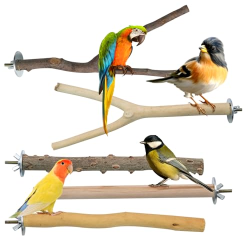 YHSKJCD Papageienständer aus natürlichem Holz, Vogelstangen, Traubenstab, zum Aufhängen, mehrere Zweige für Papageien, Vogelkäfig-Zubehör, 5 Stück YHSKJCD Papageienständer aus natürlichem Holz, Vogelstangen, Traubenstab, zum Aufhängen, mehrere Zweige für Papageien, Vogelkäfig-Zubehör, 5 Stück von YHSKJCD