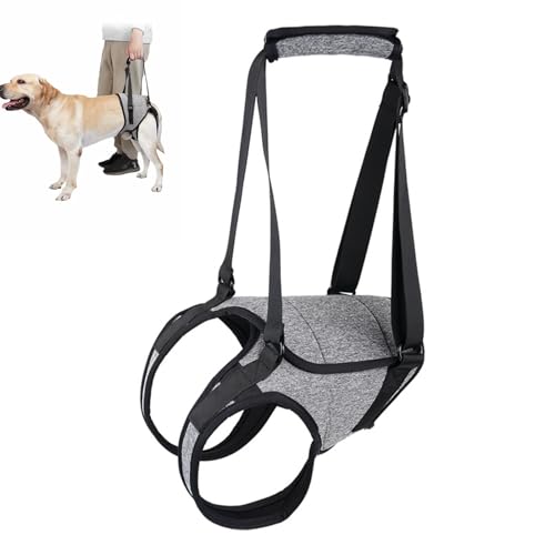 Hunde-Hüftlift-Geschirr für den Hinteren Rücken des Hundes, Hüftstütze für Hundeschlinge,für Genesungsschlinge, Hilft bei der Wiederherstellung des Vorderen Kreuzbandes bei Arthritis (XL) von YHZNAGEM