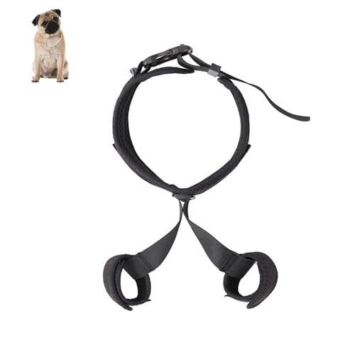 Hunde-Rückenbein-Hüftgelenk-Kniestütze, Verstellbare Hunde-Kniebandage für Rückenbein zerrissene ACL, Hunde-Kniegelenk-Beinmanschette Hüftbandage für Hunde,Kreuzbandverstauchungen im Hinterbein (L) von YHZNAGEM