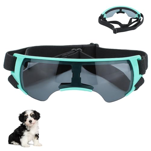 Sonnenbrille für Kleine Hunde, Augenschutz Brille Windschutzbrille,UV-Schutz Hunde Sonnenbrillen,Beschlagfrei,Hundebrille für Haustiere, für Motorrad Hundefahrradkorb Cabrio (Blau) von YHZNAGEM