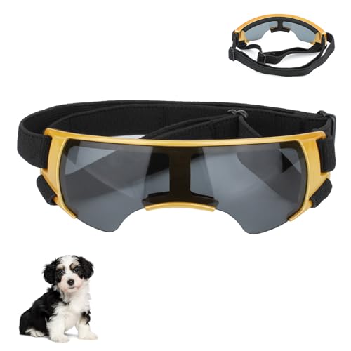 Sonnenbrille für Kleine Hunde, Augenschutz Brille Windschutzbrille,UV-Schutz Hunde Sonnenbrillen,Beschlagfrei,Hundebrille für Haustiere, für Motorrad Hundefahrradkorb Cabrio (Gold) von YHZNAGEM