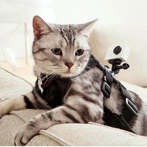 YI Action Camera Hundegeschirr für Haustiere, kleine Marke YI Action Camera Hundegeschirr für Haustiere, kleine Marke von YI