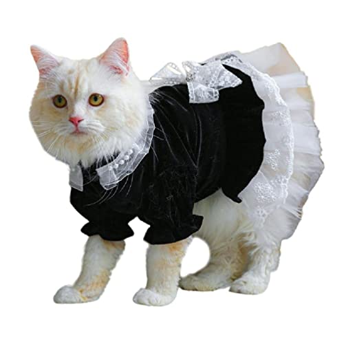 Katzen-Outfits für Katzen nur Hundekleidung Spitzendekorationen Kleid Haustierkostüm Bekleidung Sommerkleidung Zubehör für Mädchen Hunde Katzen Outfits Kleid nur für Frauen Mädchen Hund Kostüme Bekleidung für kleine Hunde von YIAGXIVG