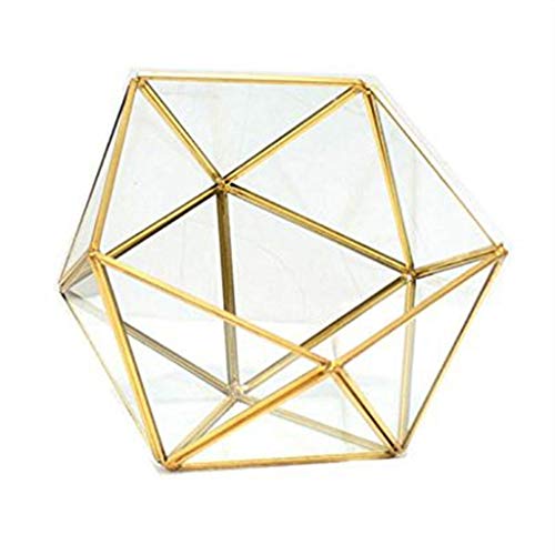 Moderne künstlerische Schmuckschatulle aus klarem Glas, geometrisches Pentagon, Sukkulenten, Moos, Farn, Pflanze, Terrarium, Heimdekoration, Aufbewahrungsbox mit Trennwänden für Sport-Sammelkarten von YIAGXIVG