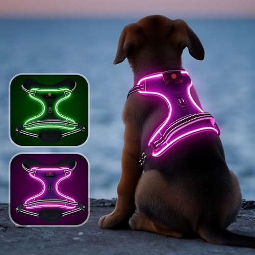Leuchtendes Hundegeschirr, kein Ziehen, LED-Hundegeschirr mit Griff, wiederaufladbar, reflektierend, bequem, 4-Punkt-verstellbar, beleuchtet, für kleine, mittelgroße und große Hunde Leuchtendes Hundegeschirr, kein Ziehen, LED-Hundegeschirr mit Griff, wiederaufladbar, reflektierend, bequem, 4-Punkt-verstellbar, beleuchtet, für kleine, mittelgroße und große Hunde von YIAZIM