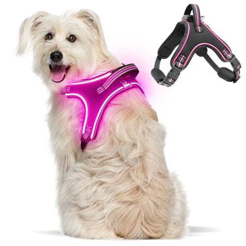 Light Up Hundegeschirr Leuchtend Aufladbar, LED Hundegeschirr mit Griff, Reflektierende Brustgeschirr für Bleiben Sie Nachts Sicher für Mittel Klein große Hund (Rosa, XL) von YIAZIM