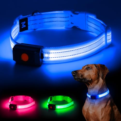 YIAZIM Leuchthalsband Aufladbar, Einstellbare LED Halsband für Kleine Mittlere Große Hunde, USB Wiederaufladbar für Nächtliche Spaziergänge (Blau, M) von YIAZIM