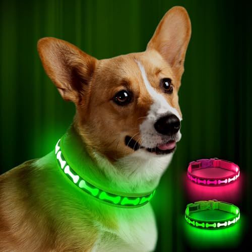YIAZIM Leuchthalsband Hund Aufladbar, LED Hundehalsband, Wiederaufladbar Hundehalsband Leuchtend für Hunde Einstellbare Größe, 3 Beleuchtungsmodi für Mittlere Große Hunde (Grün, Groß) von YIAZIM
