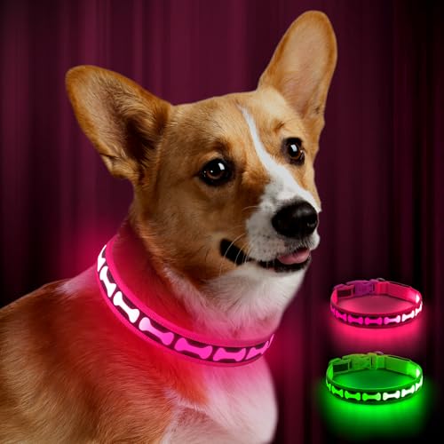 YIAZIM Leuchthalsband Hund Aufladbar, LED Hundehalsband, Wiederaufladbar Hundehalsband Leuchtend für Hunde Einstellbare Größe, 3 Beleuchtungsmodi für Mittlere Große Hunde (Rosa, Mittel) von YIAZIM