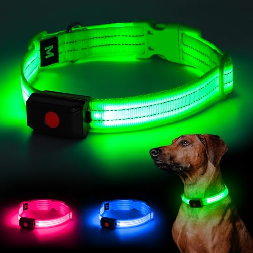 YIAZIM Leuchthalsband Hund Aufladbar, Einstellbare LED Halsband Hund für Kleine Mittlere Große Hund, Hunde Leuchthalsband für Nächtliche Spaziergänge USB Wiederaufladbare (Grün1, L) YIAZIM Leuchthalsband Hund Aufladbar, Einstellbare LED Halsband Hund für Kleine Mittlere Große Hund, Hunde Leuchthalsband für Nächtliche Spaziergänge USB Wiederaufladbare (Grün1, L) von YIAZIM