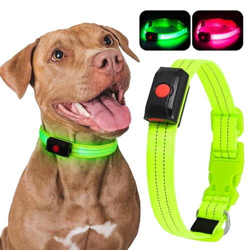 YIAZIM Leuchthalsband Aufladbar, Einstellbare LED Halsband für Kleine Mittlere Große Hunde, USB Wiederaufladbar für Nächtliche Spaziergänge (Grün1, M) YIAZIM Leuchthalsband Aufladbar, Einstellbare LED Halsband für Kleine Mittlere Große Hunde, USB Wiederaufladbar für Nächtliche Spaziergänge (Grün1, M) von YIAZIM