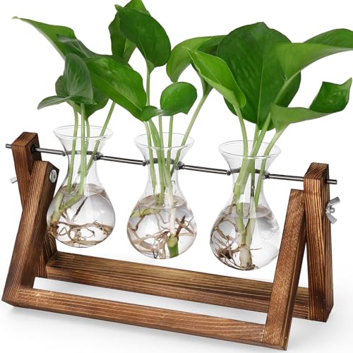 YIBOT Anzuchtstationen, Pflanzen-Terrarium mit Retro-Holzständer, einzigartiges Garten-Geburtstagsgeschenk für Frauen, Pflanzenliebhaber, Hydrokultur-Pflanzen, Heimbüro, Gartendekoration – Glasvasen YIBOT Anzuchtstationen, Pflanzen-Terrarium mit Retro-Holzständer, einzigartiges Garten-Geburtstagsgeschenk für Frauen, Pflanzenliebhaber, Hydrokultur-Pflanzen, Heimbüro, Gartendekoration – Glasvasen von YIBOT