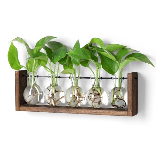 YIBOT Pflanzen-Anzuchtstationen, Pflanzen-Terrarium mit Holzständer, Wandbehang, Glas-Pflanzgefäß, Pflanzgefäß für Innenbereich, Büro, Zuhause, Garten, Dekoration, Pflanzenliebhaber, Geschenke für YIBOT Pflanzen-Anzuchtstationen, Pflanzen-Terrarium mit Holzständer, Wandbehang, Glas-Pflanzgefäß, Pflanzgefäß für Innenbereich, Büro, Zuhause, Garten, Dekoration, Pflanzenliebhaber, Geschenke für von YIBOT